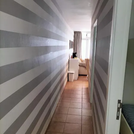 Apartment Gladiolos